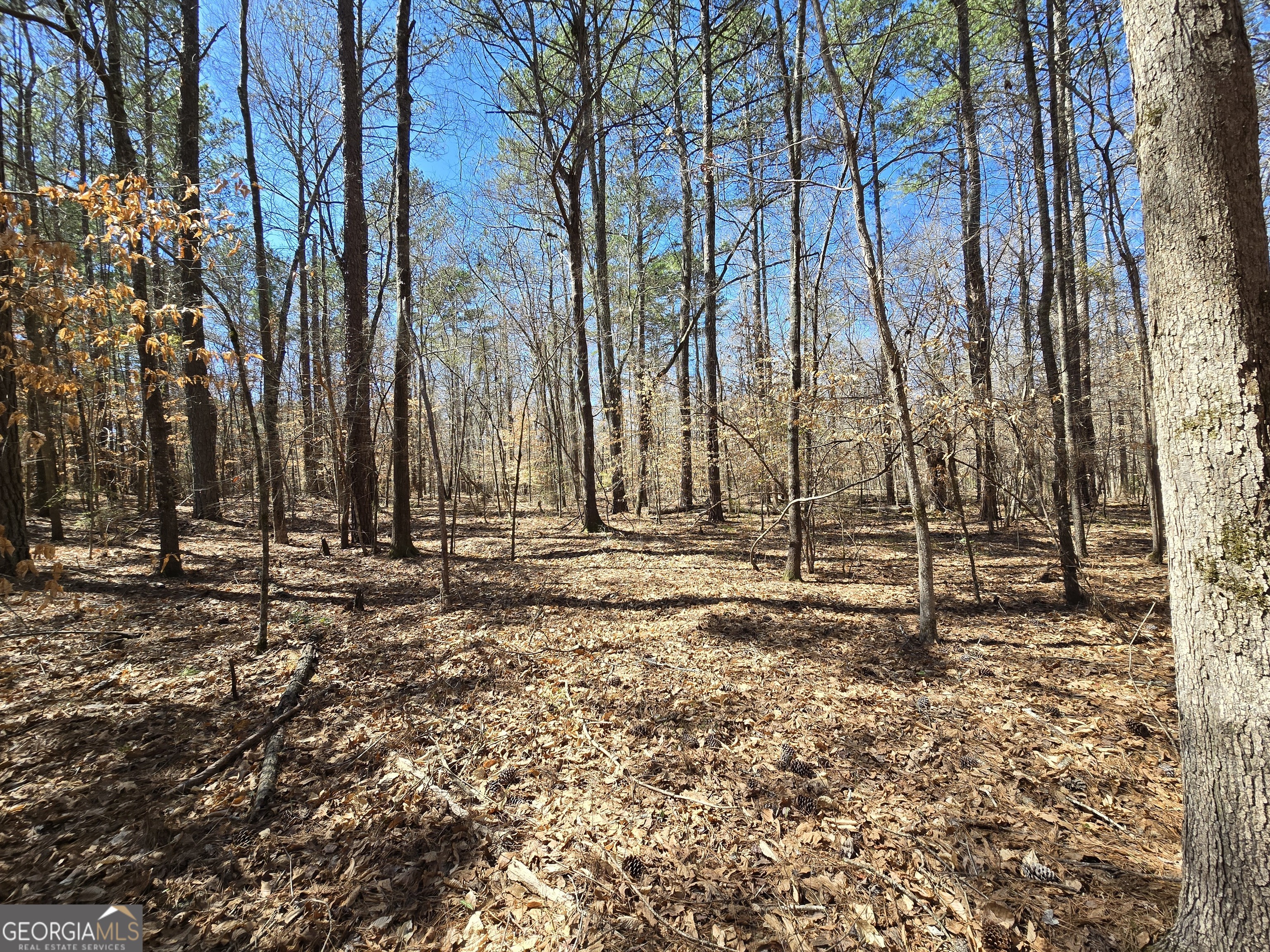 0 River Shoals Court Covington, GA 30016 - Photo 1 of 17 a view of a backyard of the house