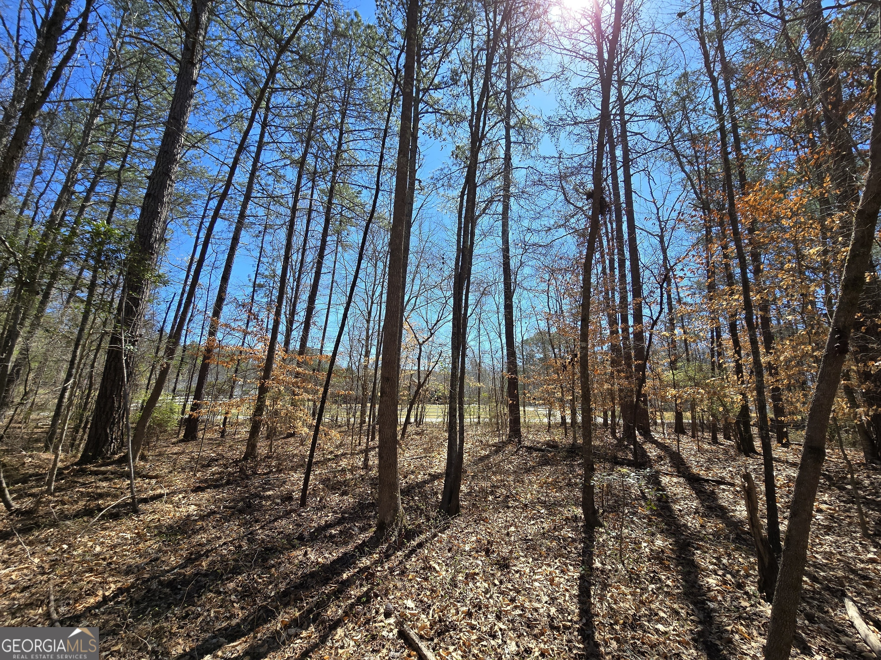 0 River Shoals Court Covington, GA 30016 - Photo 12 of 17 a view of a backyard