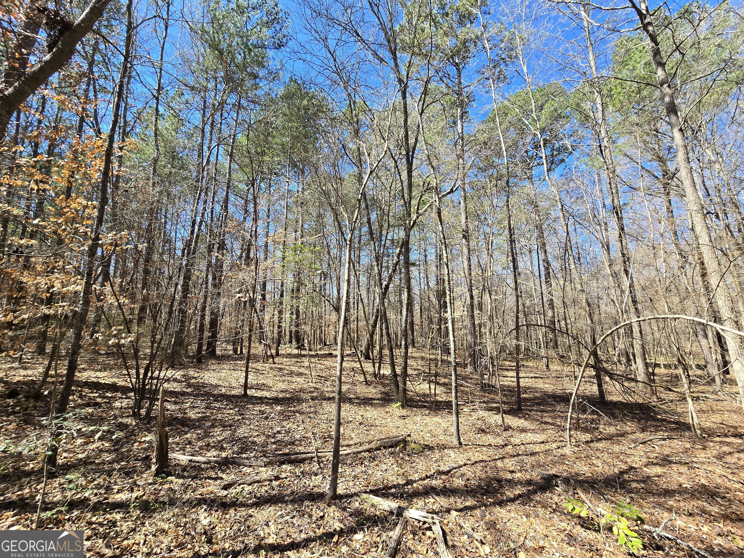 0 River Shoals Court Covington, GA 30016 - Photo 13 of 17 a view of yard