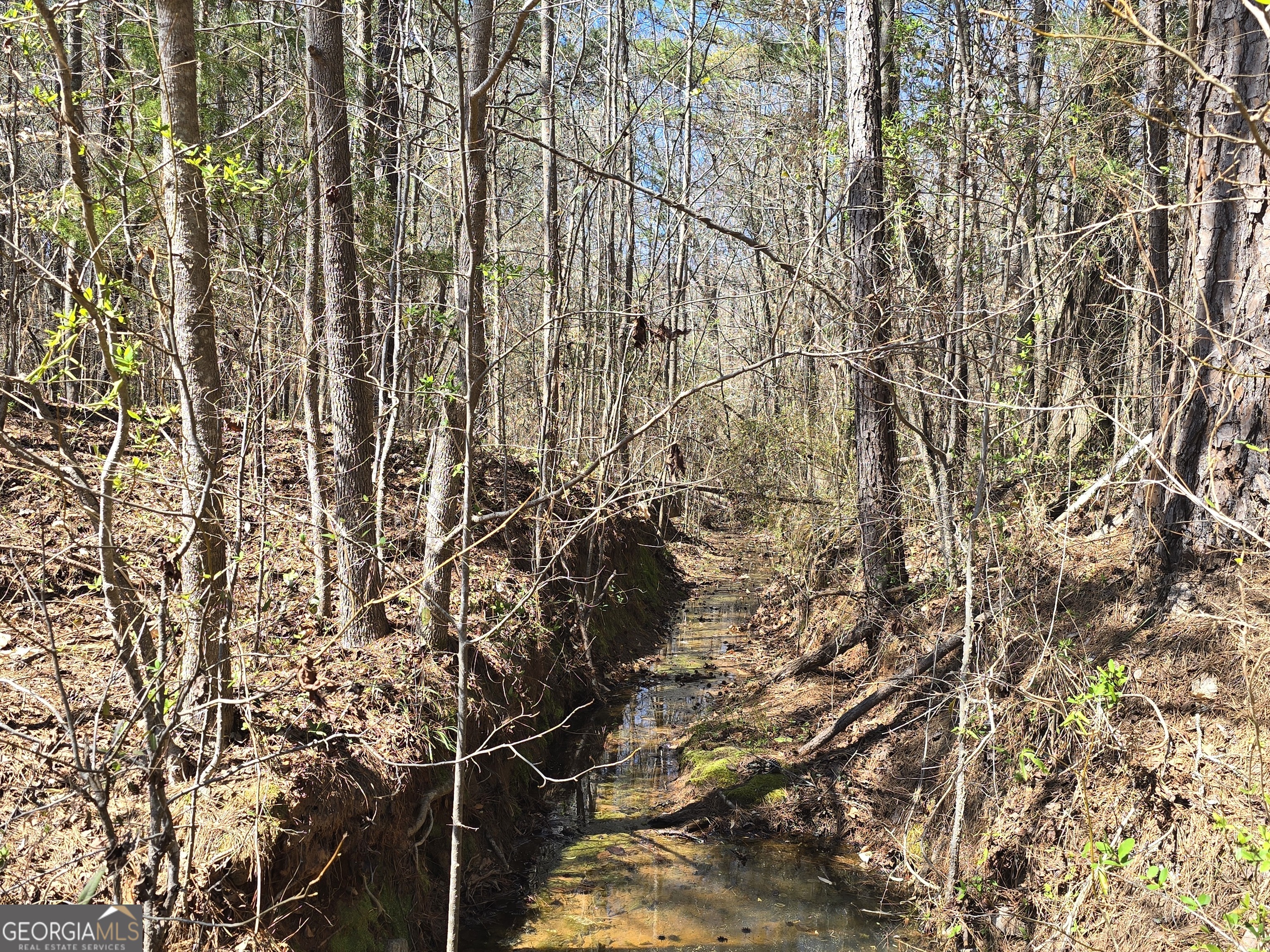 0 River Shoals Court Covington, GA 30016 - Photo 16 of 17 a picture of a tree