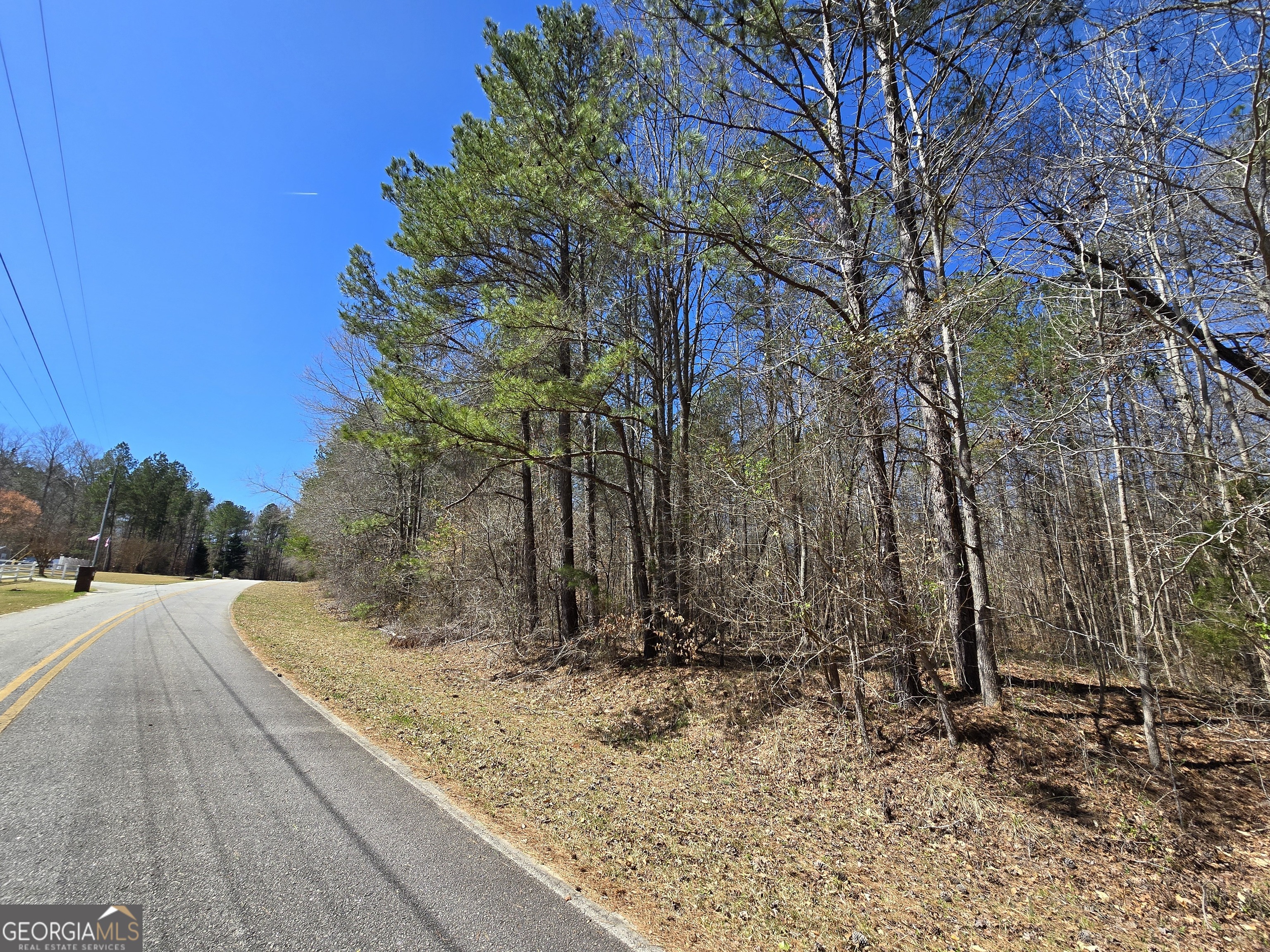 0 River Shoals Court Covington, GA 30016 - Photo 17 of 17 a view of a backyard with large trees