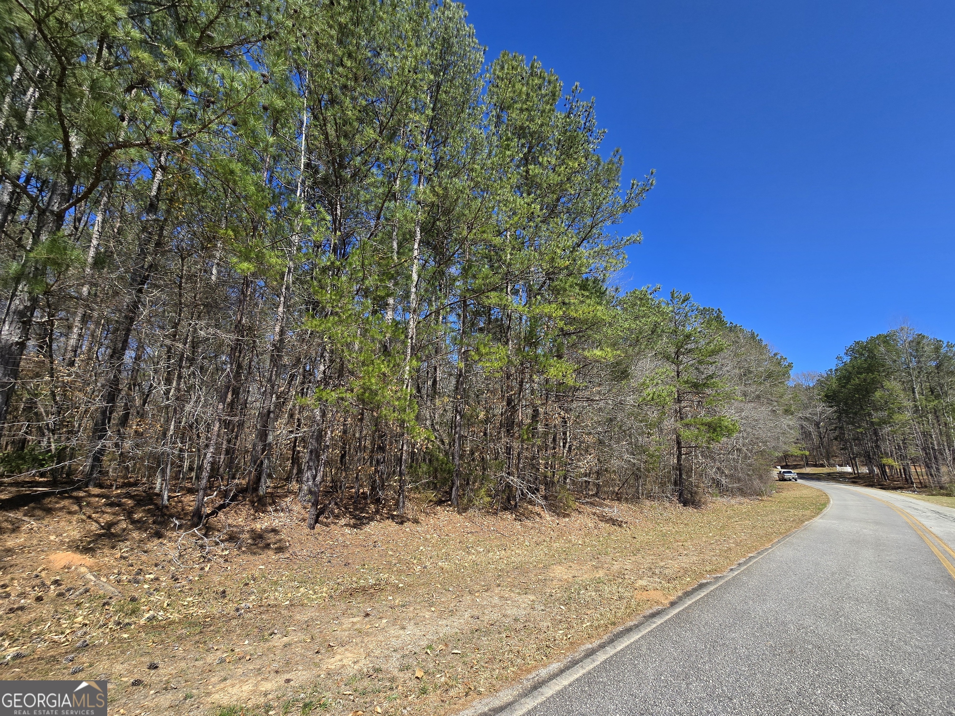 0 River Shoals Court Covington, GA 30016 - Photo 4 of 17 a view of road and trees