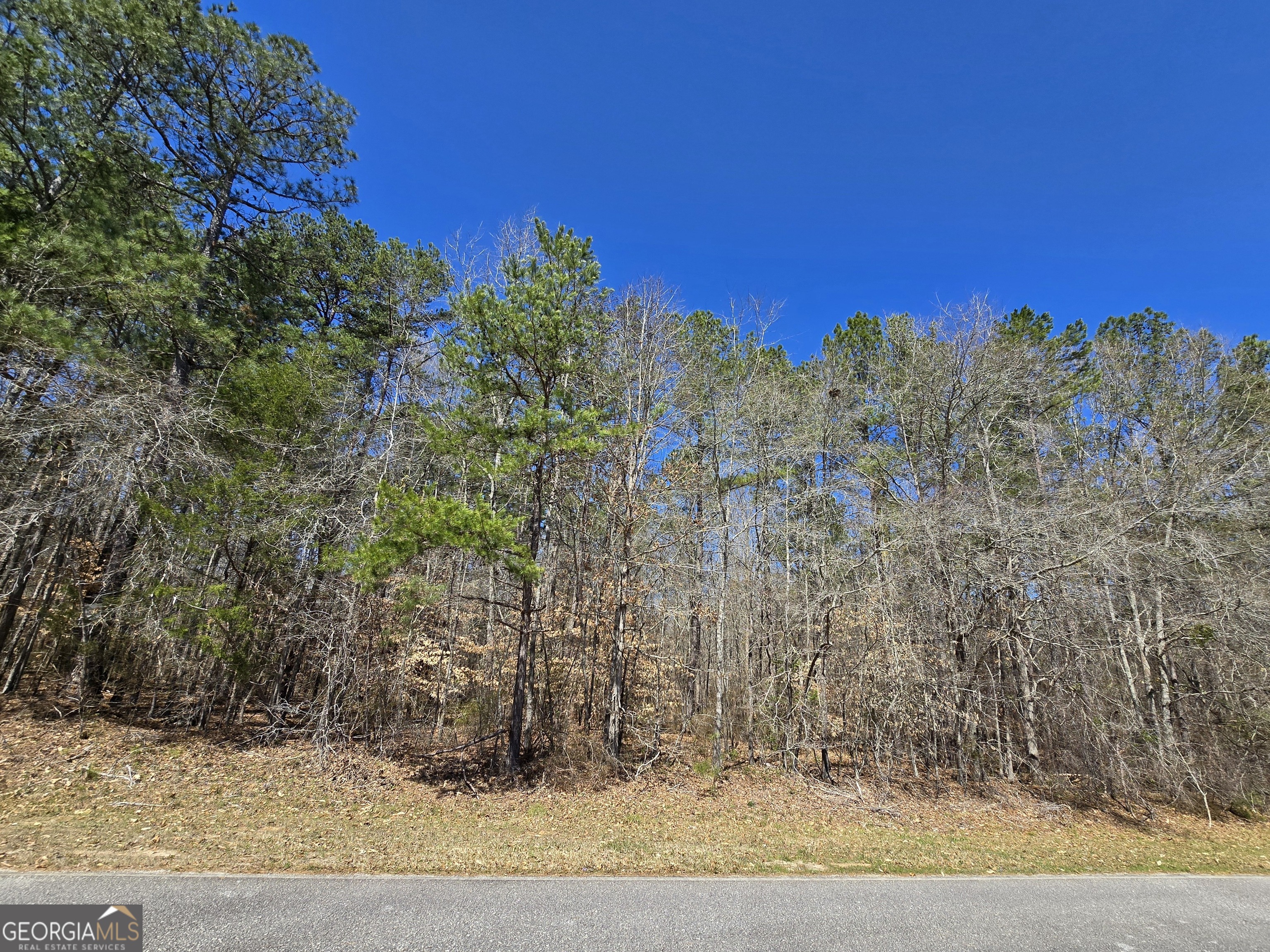 0 River Shoals Court Covington, GA 30016 - Photo 5 of 17 a view of a yard with a tree