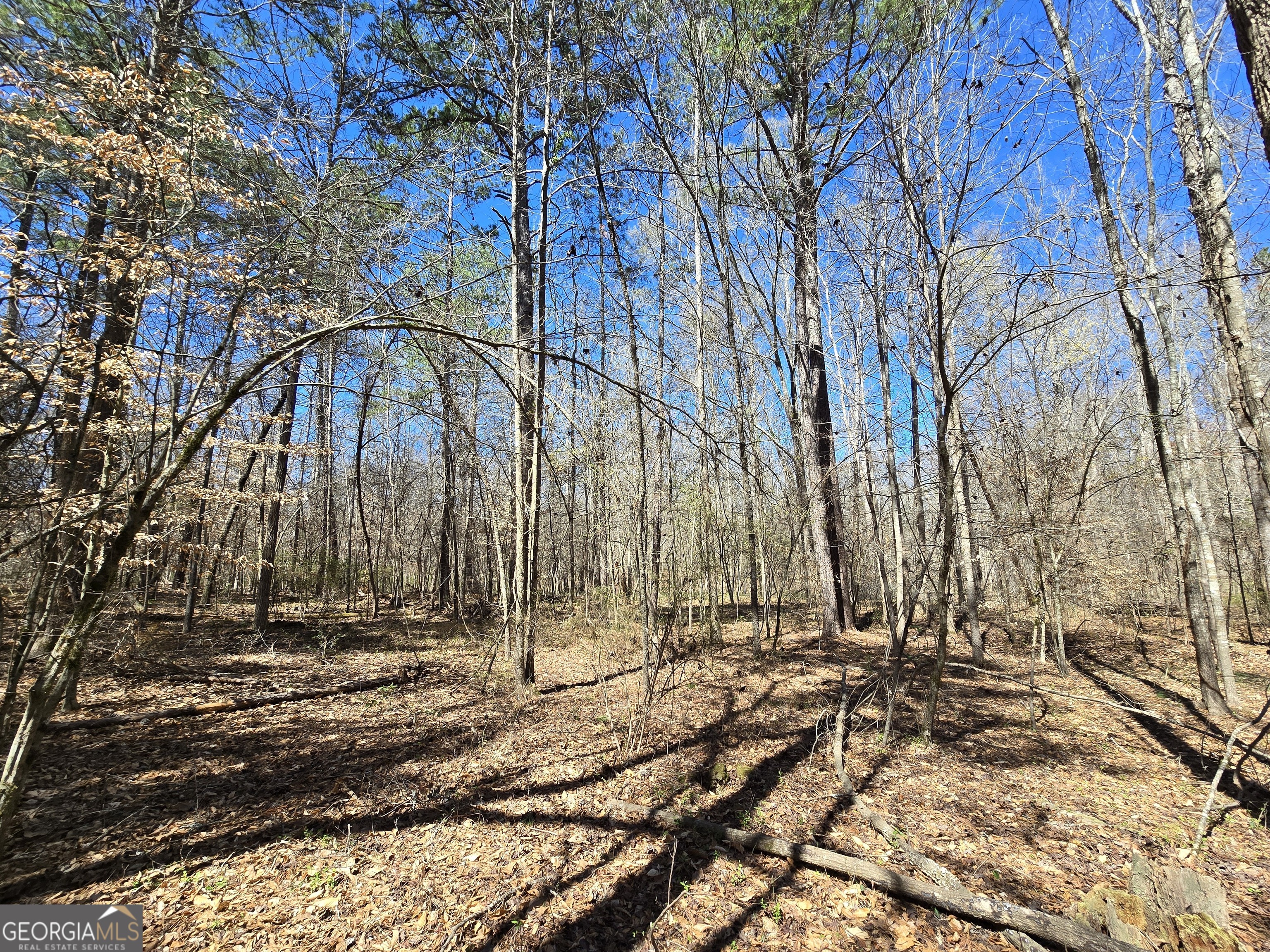 0 River Shoals Court Covington, GA 30016 - Photo 6 of 17 a backyard of a building with large trees