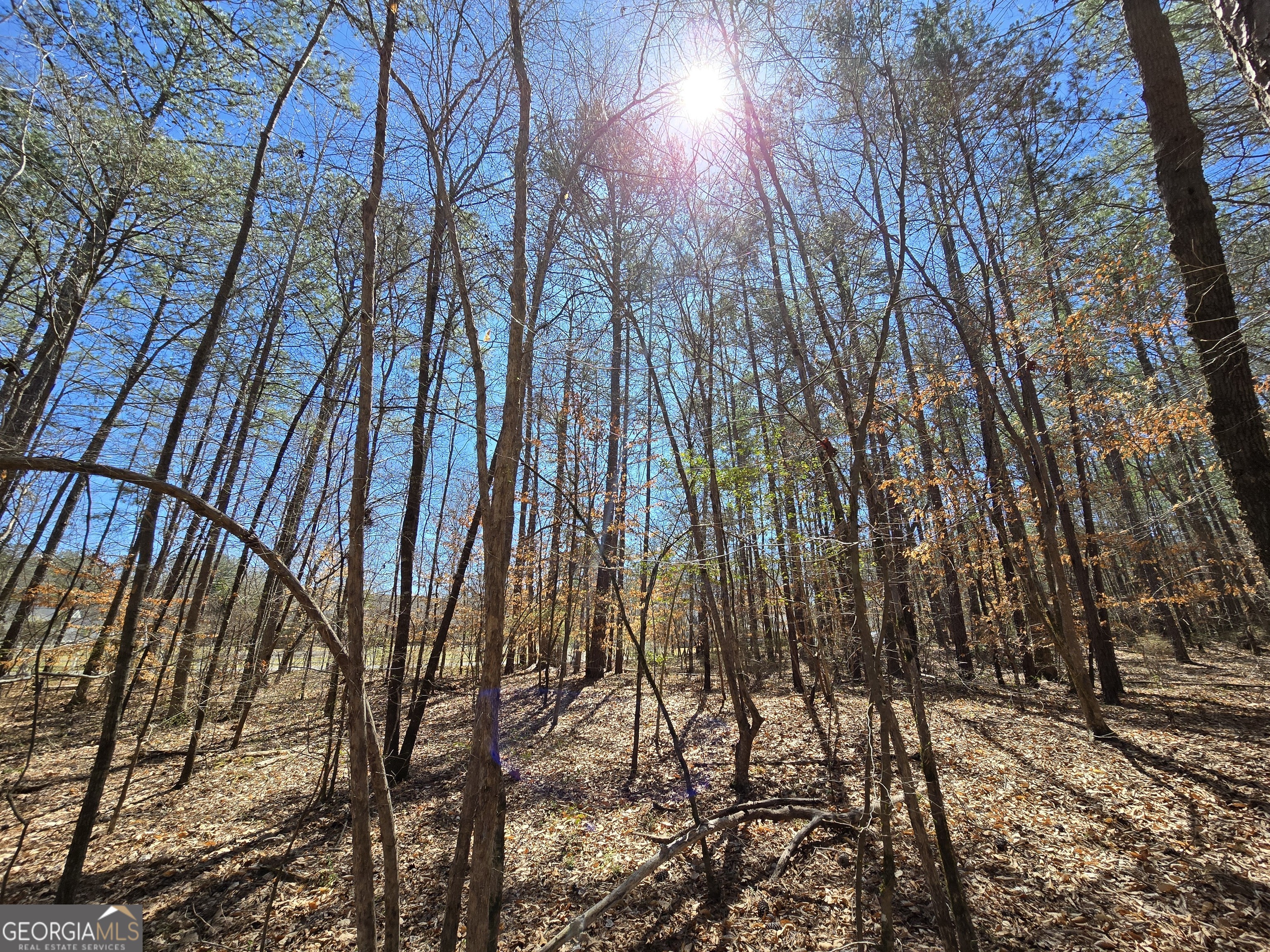 0 River Shoals Court Covington, GA 30016 - Photo 7 of 17 a view of yard