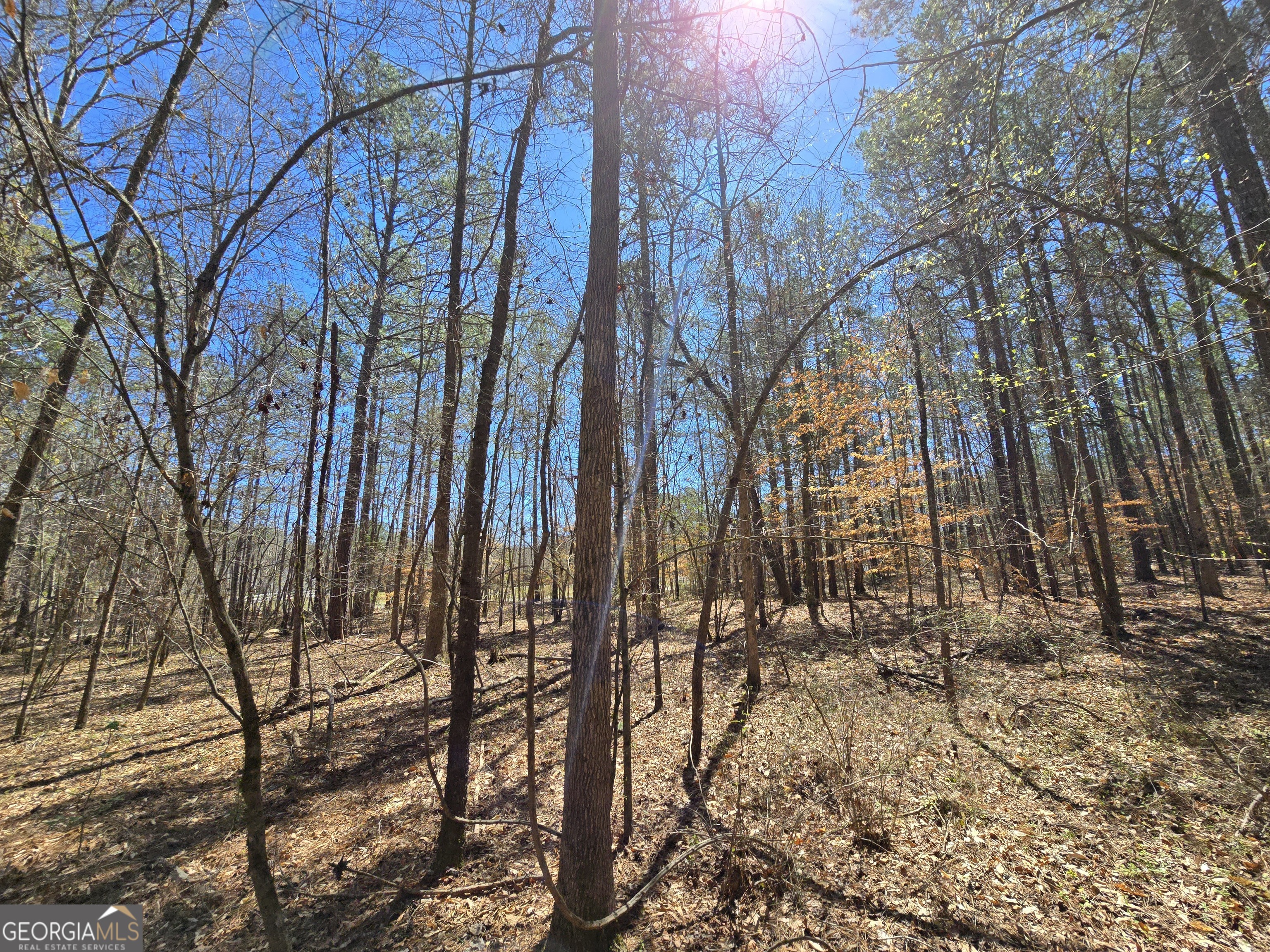 0 River Shoals Court Covington, GA 30016 - Photo 8 of 17 a view of outdoor space