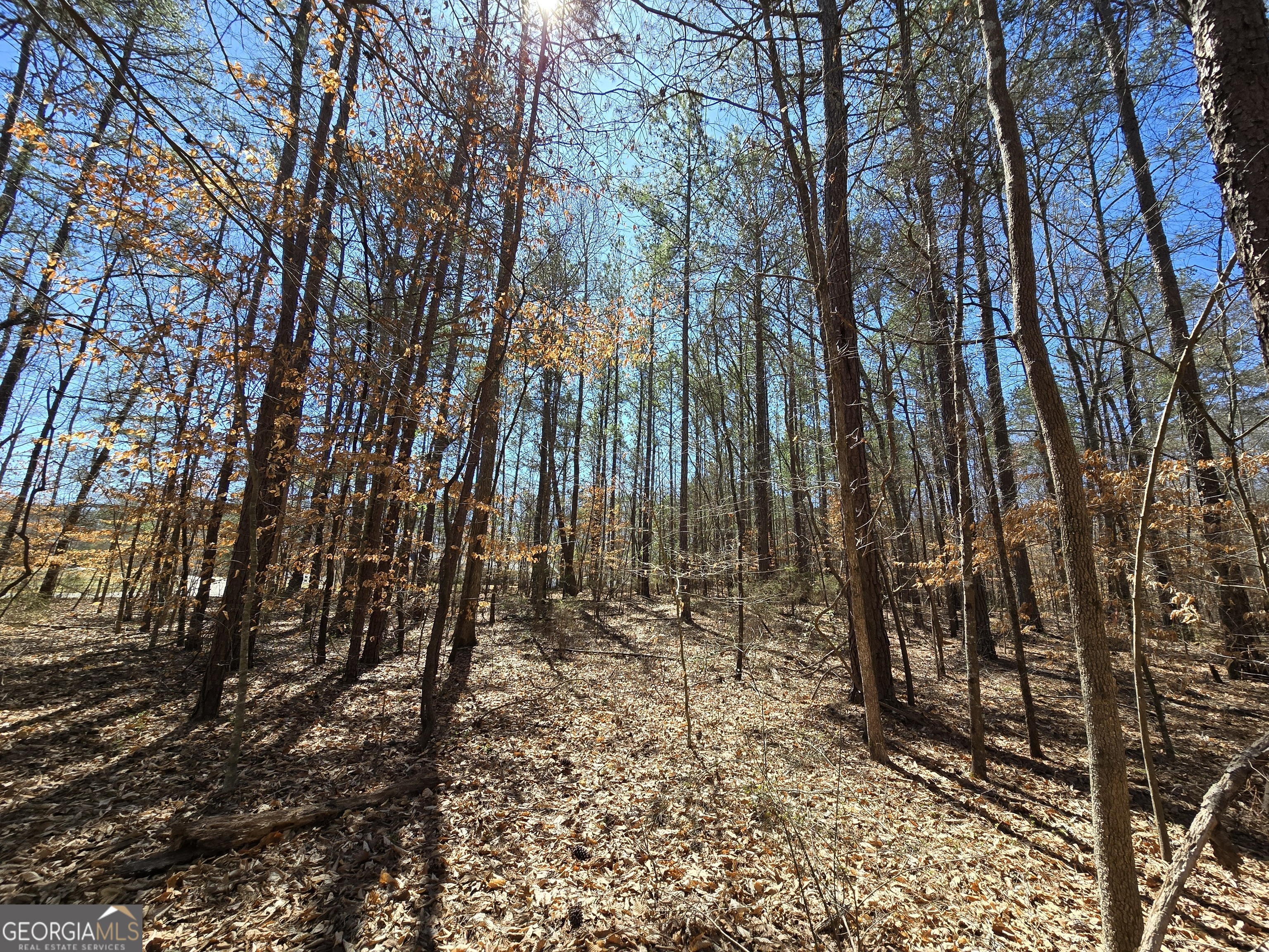 0 River Shoals Court Covington, GA 30016 - Photo 9 of 17 a view of outdoor space with deck and trees