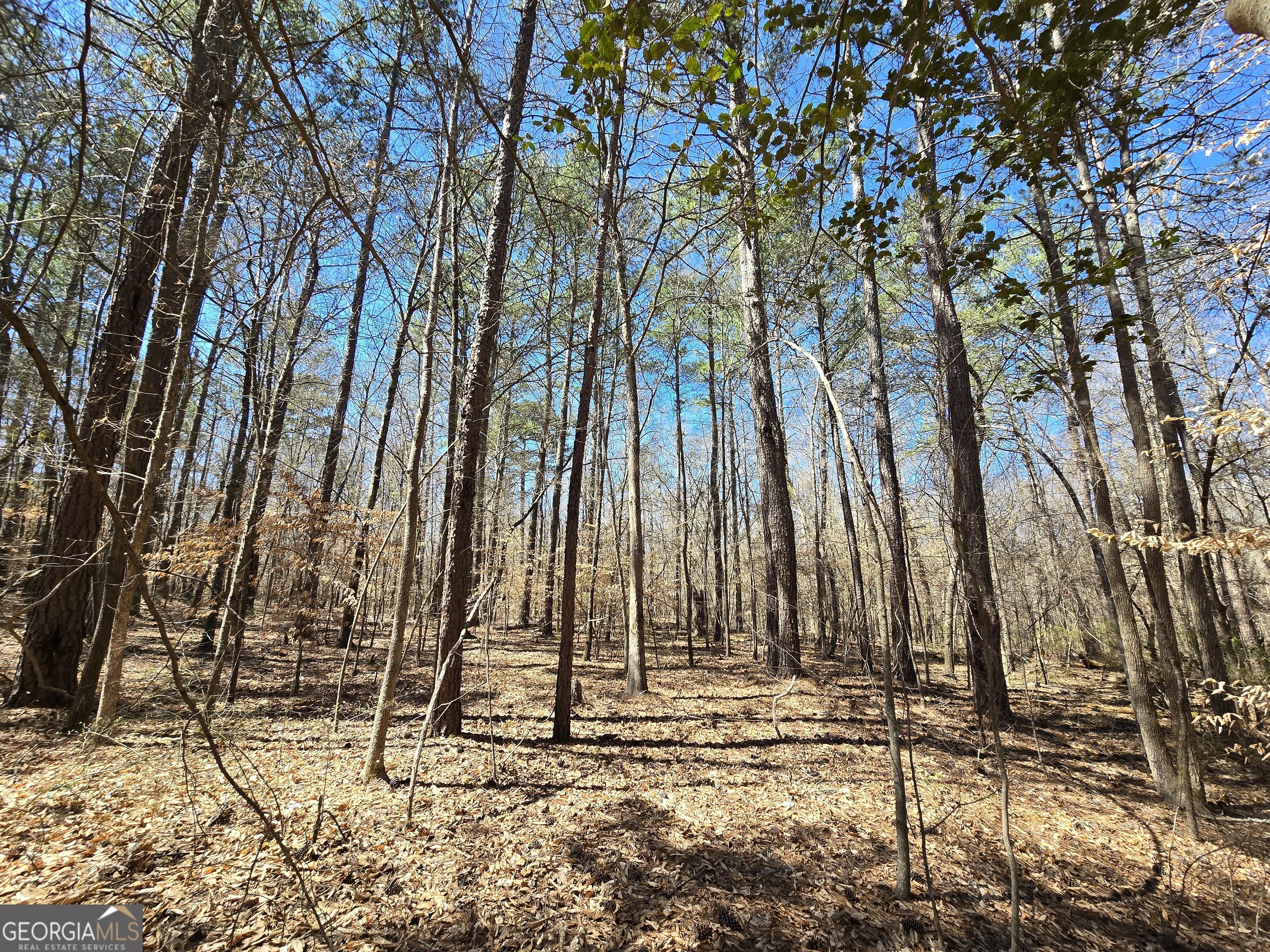 0 River Shoals Court Covington, GA 30016 - Photo 10 of 17 a view of outdoor space with trees