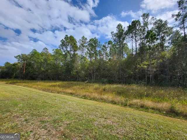 $595,000 | Lot 8 Kings Bay Road, St. Marys, GA 31558