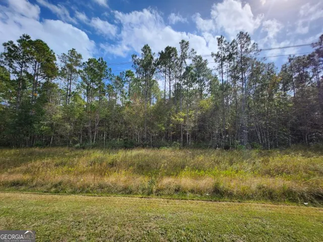 $595,000 | Lot 8 Kings Bay Road, St. Marys, GA 31558