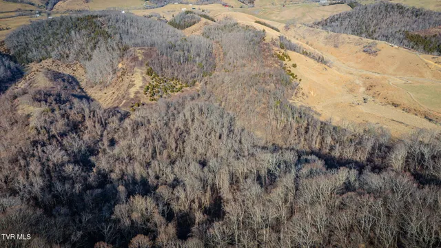 $159,900 | Tbd Clinch Mountain Road, Lebanon, VA 24266