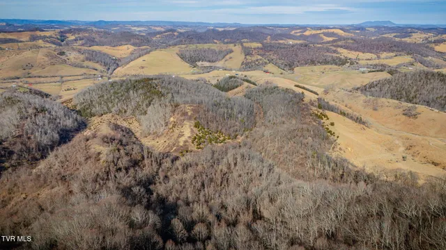 $159,900 | Tbd Clinch Mountain Road, Lebanon, VA 24266
