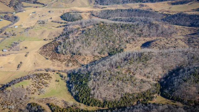 $159,900 | Tbd Clinch Mountain Road, Lebanon, VA 24266