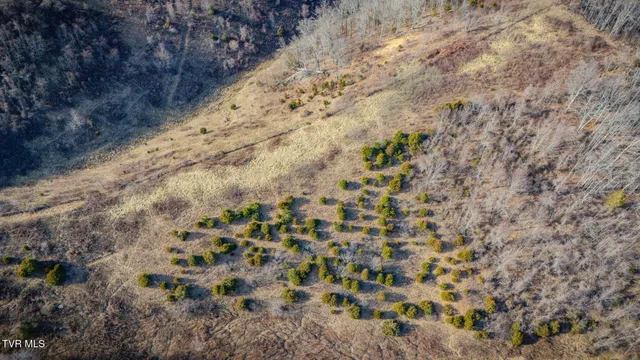 $159,900 | Tbd Clinch Mountain Road, Lebanon, VA 24266