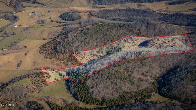 $159,900 | Tbd Clinch Mountain Road, Lebanon, VA 24266