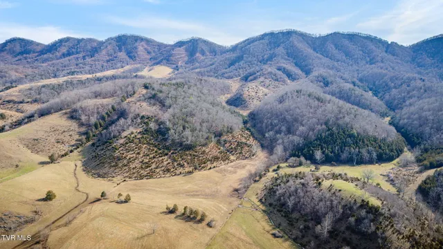 $159,900 | Tbd Clinch Mountain Road, Lebanon, VA 24266