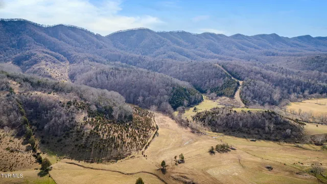 $159,900 | Tbd Clinch Mountain Road, Lebanon, VA 24266