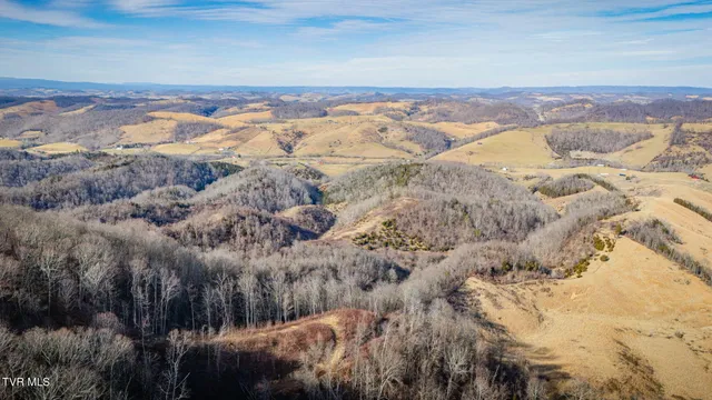 $159,900 | Tbd Clinch Mountain Road, Lebanon, VA 24266