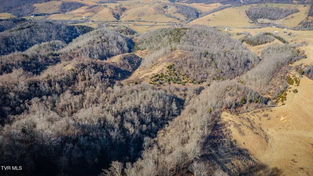 $159,900 | Tbd Clinch Mountain Road, Lebanon, VA 24266