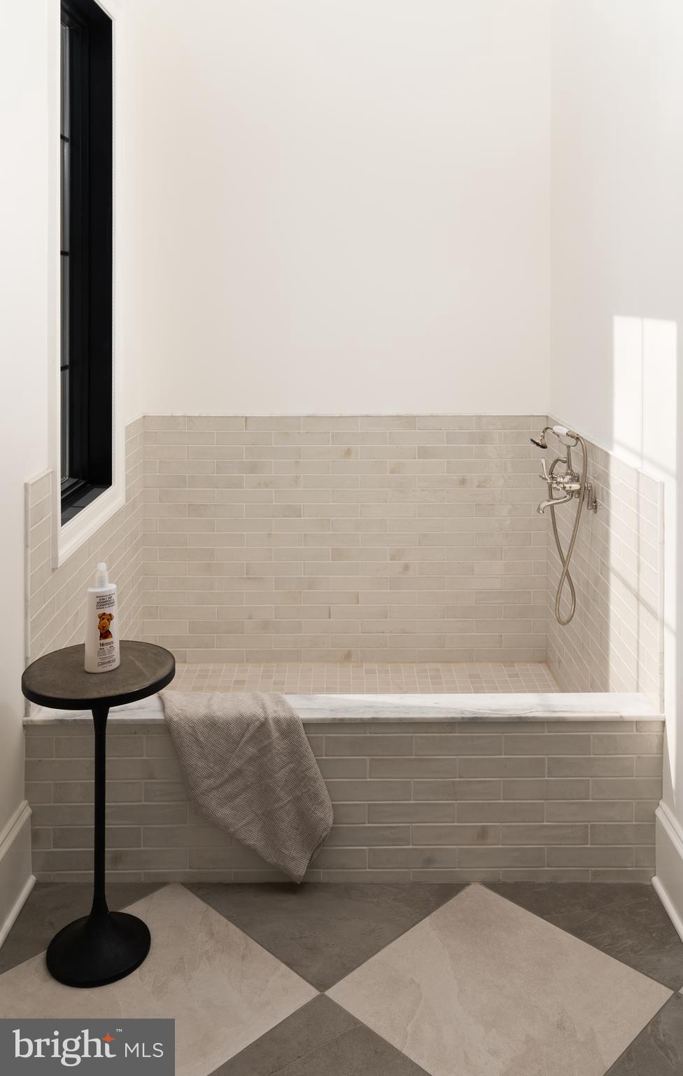 8634 Overlook Road McLean, VA 22102 - Photo 33 of 76 Spa-inspired dog washing station