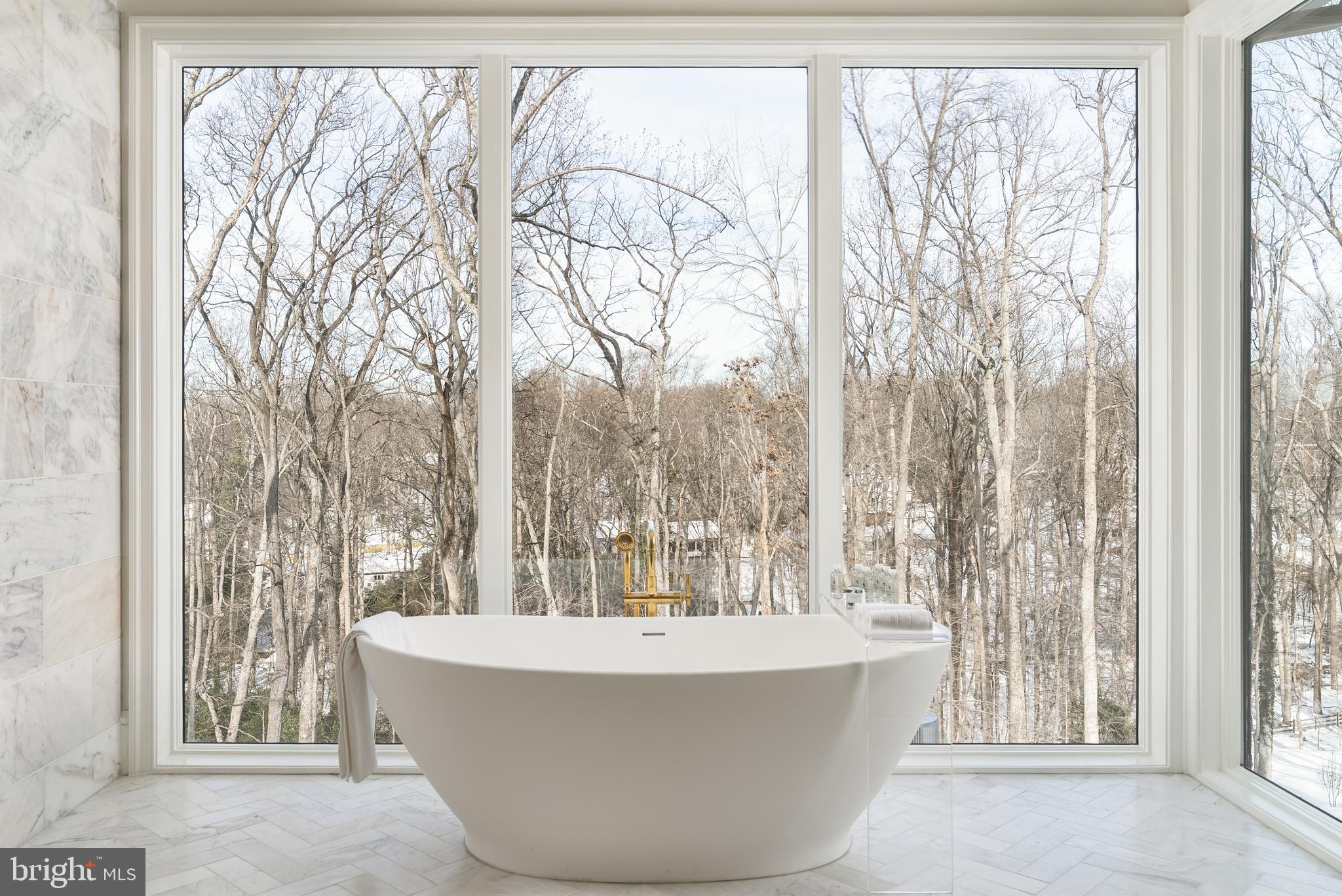 8634 Overlook Road McLean, VA 22102 - Photo 46 of 76 Entire marble floor, heated