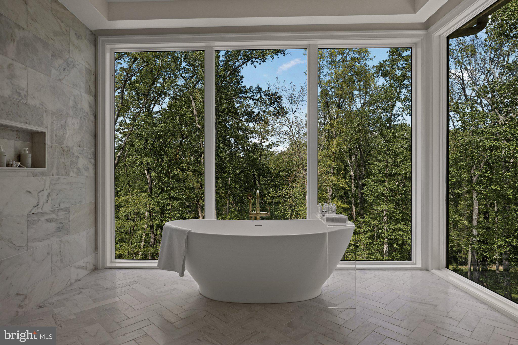 8634 Overlook Road McLean, VA 22102 - Photo 47 of 88 a view of a bathtub in a forest