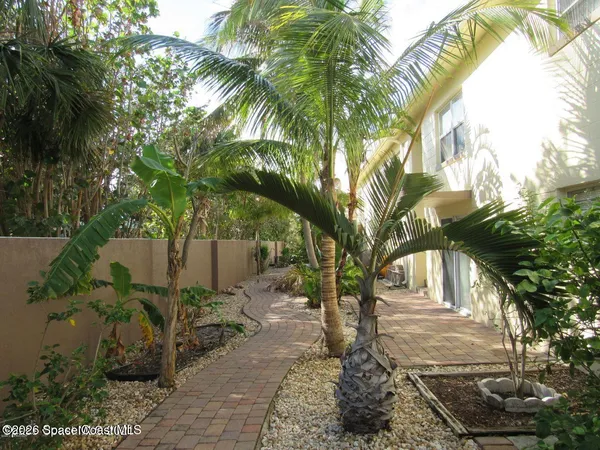a palm tree in front of a house