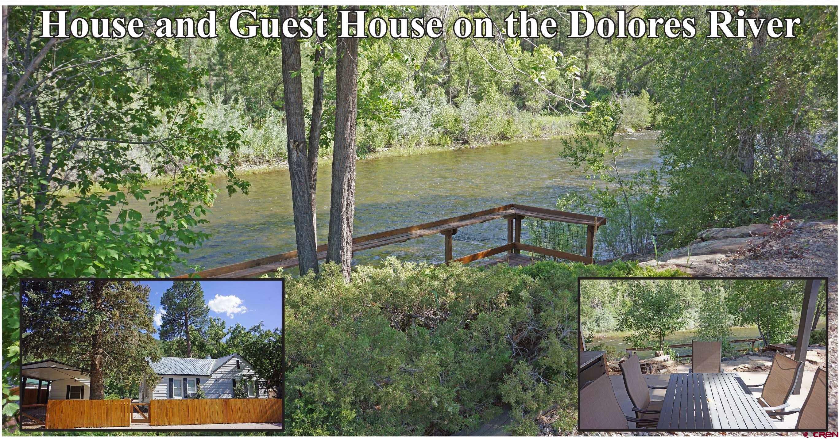 a view of a garden from a window