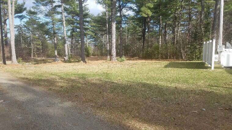 Front Lawn