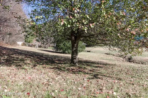 $539,900 | 5334 Morgan County Highway, Lancing, TN 37770