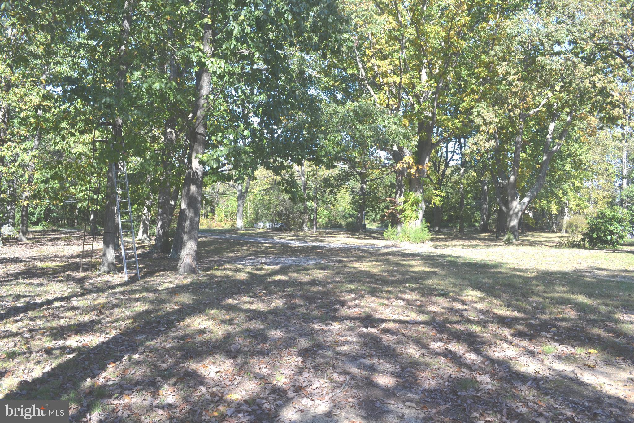 229 Radix Road Williamstown, NJ 08094 - Photo 30 of 30 Front Yard