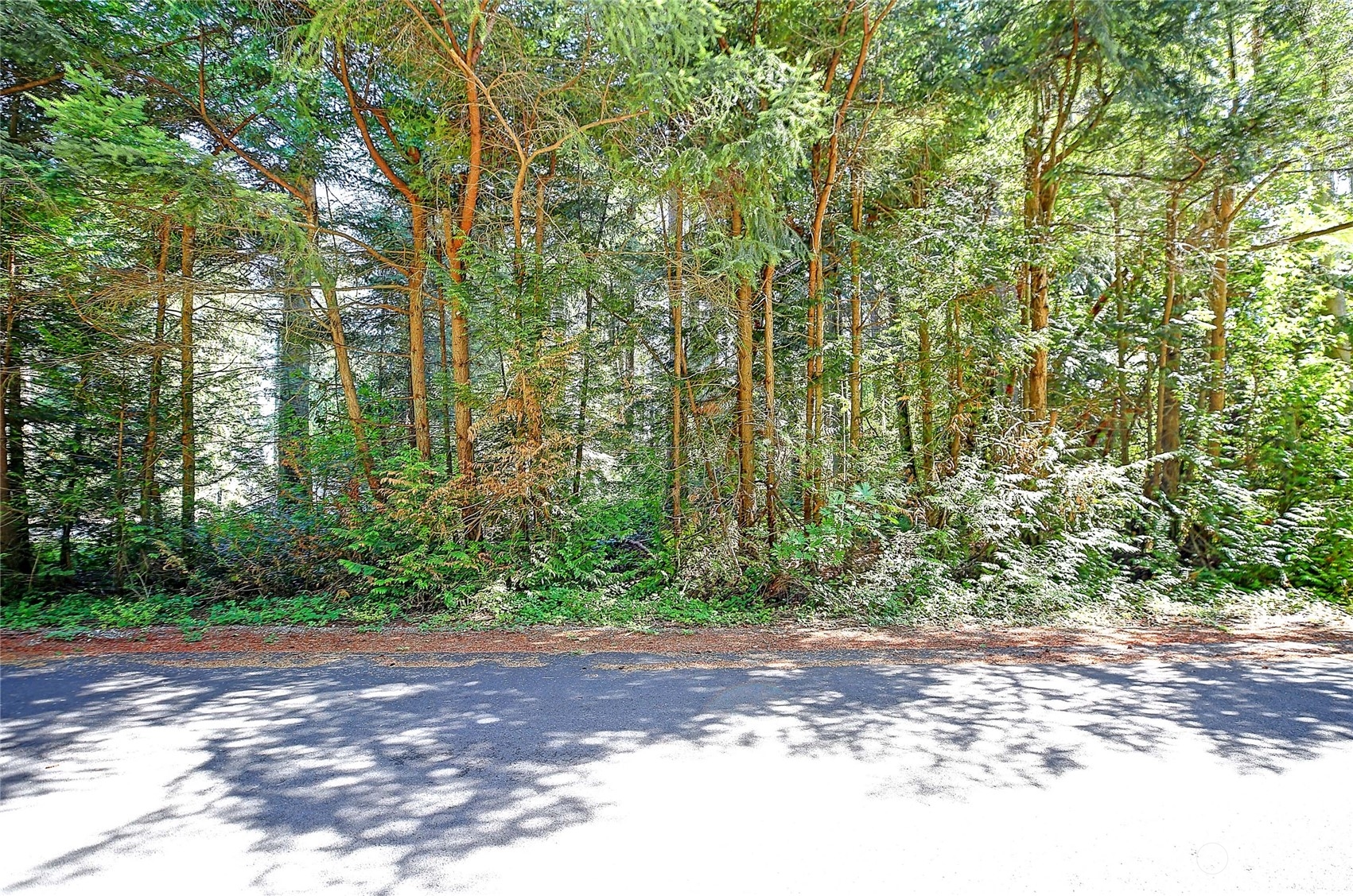 0 North Goodrich Road Camano Island, WA 98282 - Photo 11 of 14