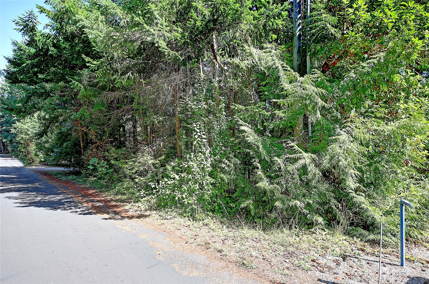 0 North Goodrich Road Camano Island, WA 98282 - Photo 10 of 14