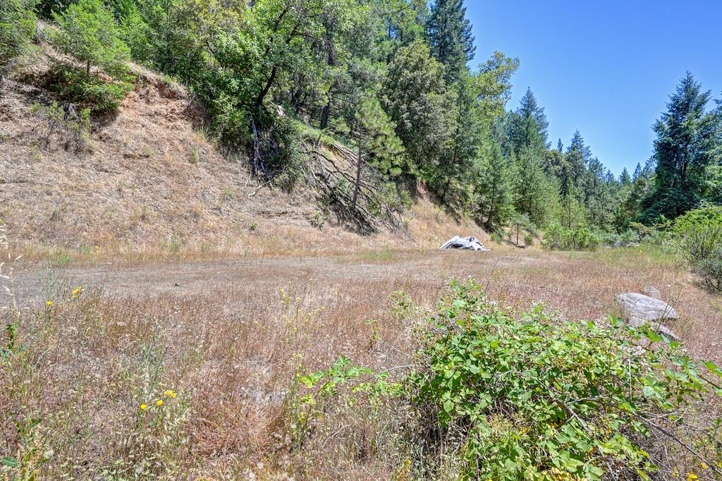 23505 Grand View Way Colfax, CA 95713 - Photo 10 of 32