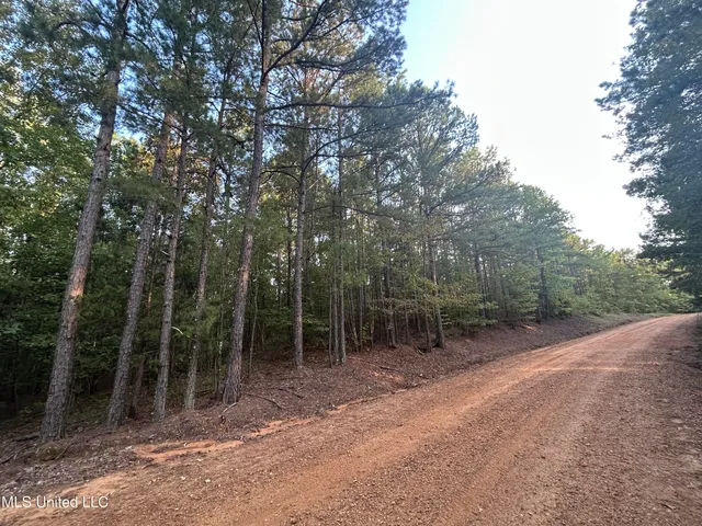 $256,000 | Conley Road, Duck Hill, MS 38925