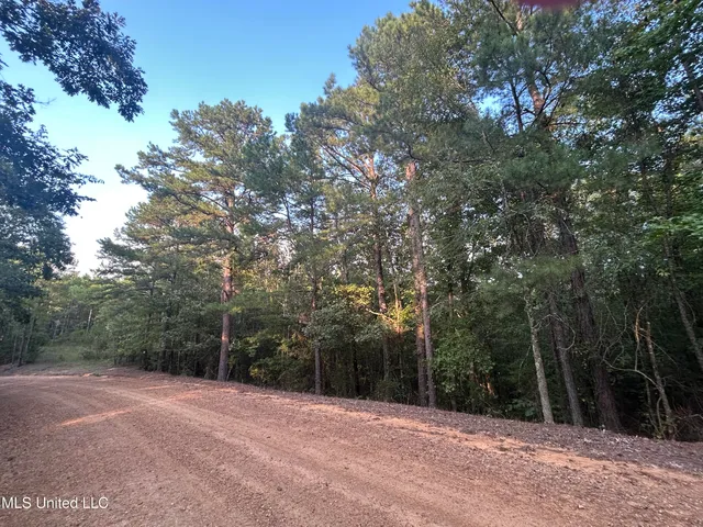 $256,000 | Conley Road, Duck Hill, MS 38925
