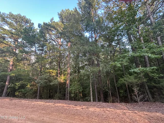 $256,000 | Conley Road, Duck Hill, MS 38925
