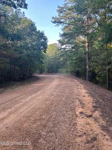 $256,000 | Conley Road, Duck Hill, MS 38925