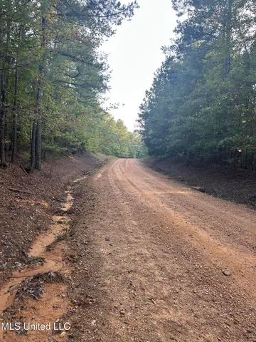 $256,000 | Conley Road, Duck Hill, MS 38925