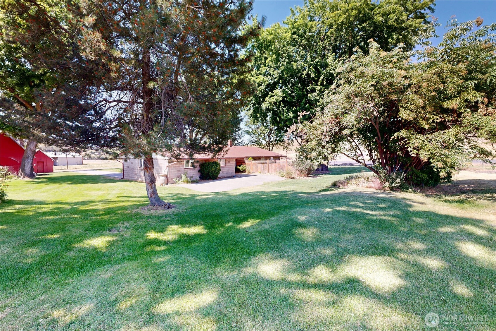 238 Patit Road Dayton, WA 99328 - Photo 6 of 40 a view of a tree in front of a house
