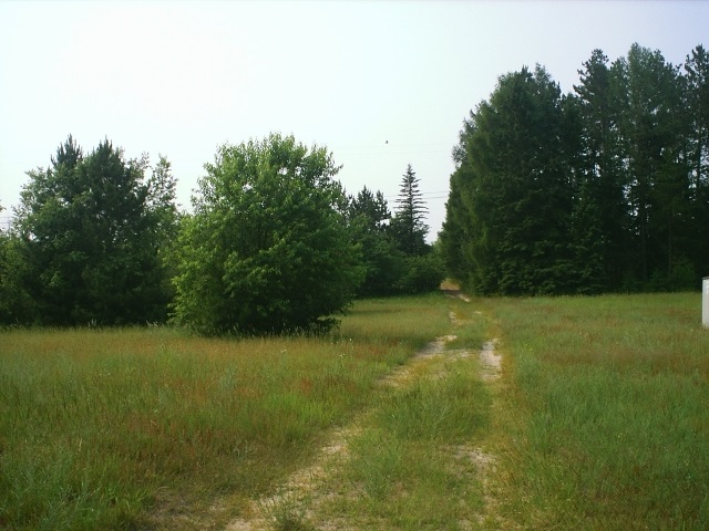 3590 Musser Road Mancelona, MI 49659 - Photo 7 of 21 1809165-6.JPG