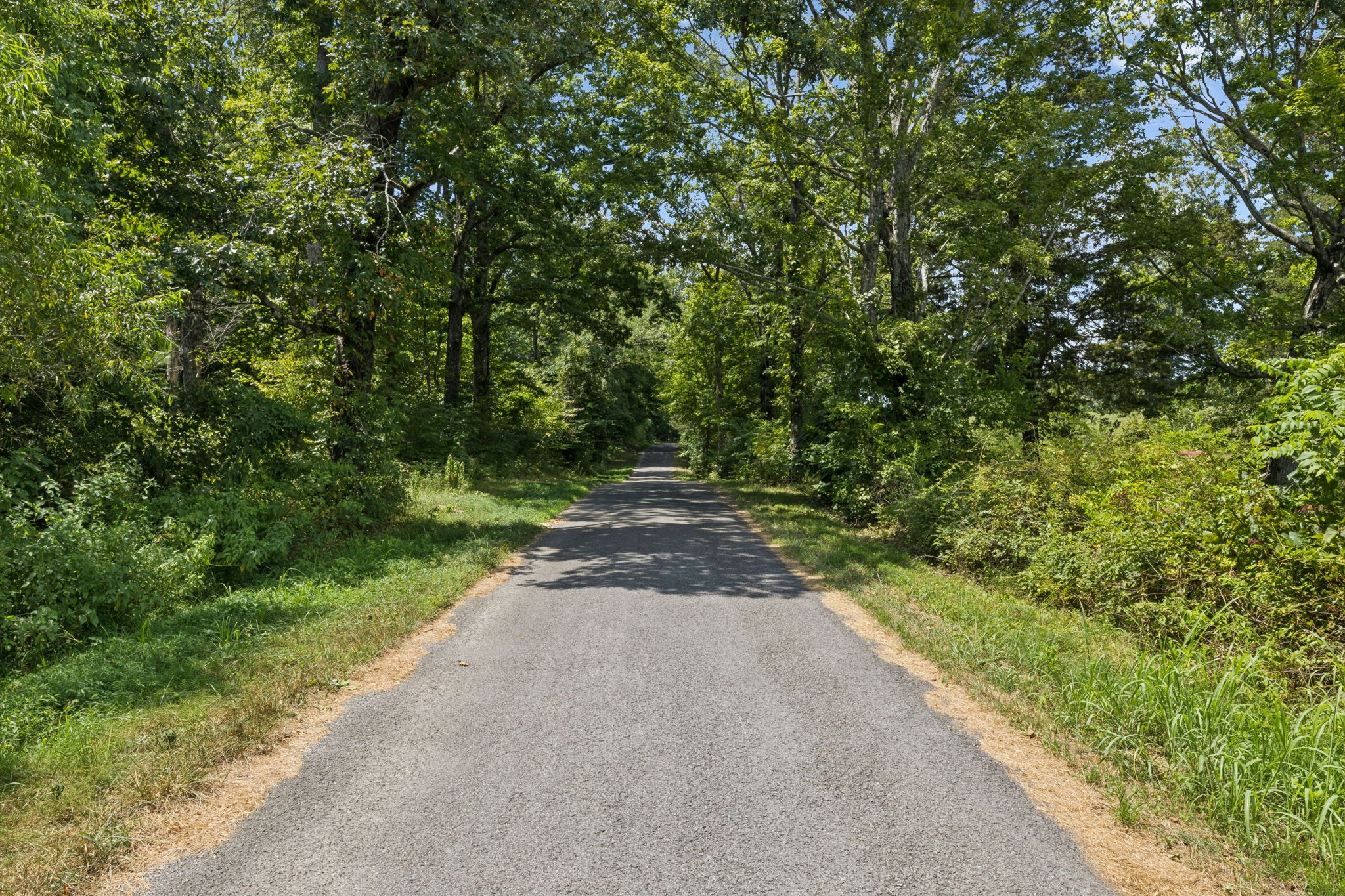 5 Hop Smith Road Cumberland Furnace, TN 37051 - Photo 20 of 23 a view of a backyard