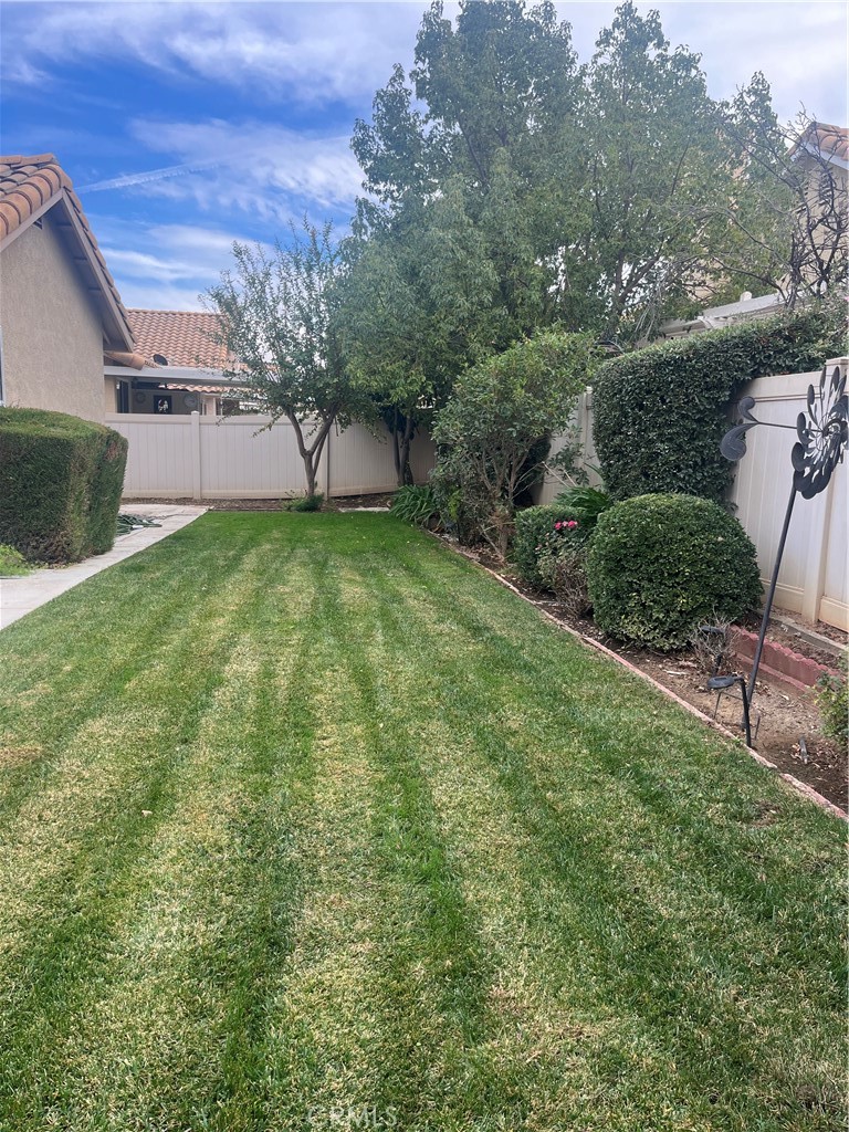 637 Torrey Pines Road Banning, CA 92220 - Photo 5 of 24 a view of a backyard
