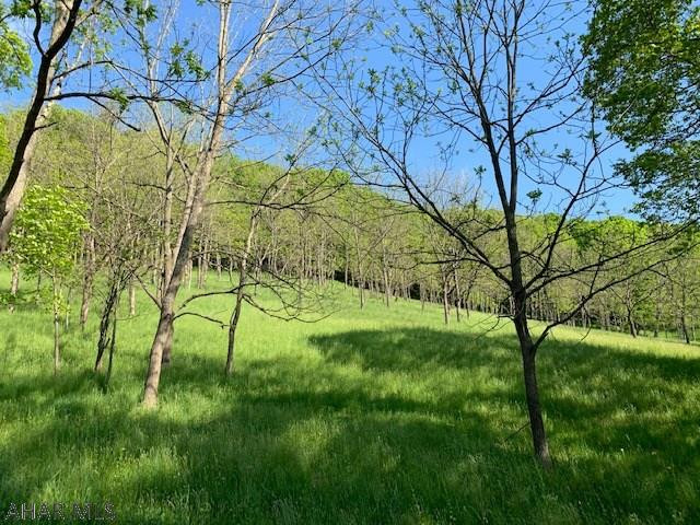4129 Milligans Cove Road Manns Choice, PA 15550 - Photo 5 of 42 Gallery Image 5