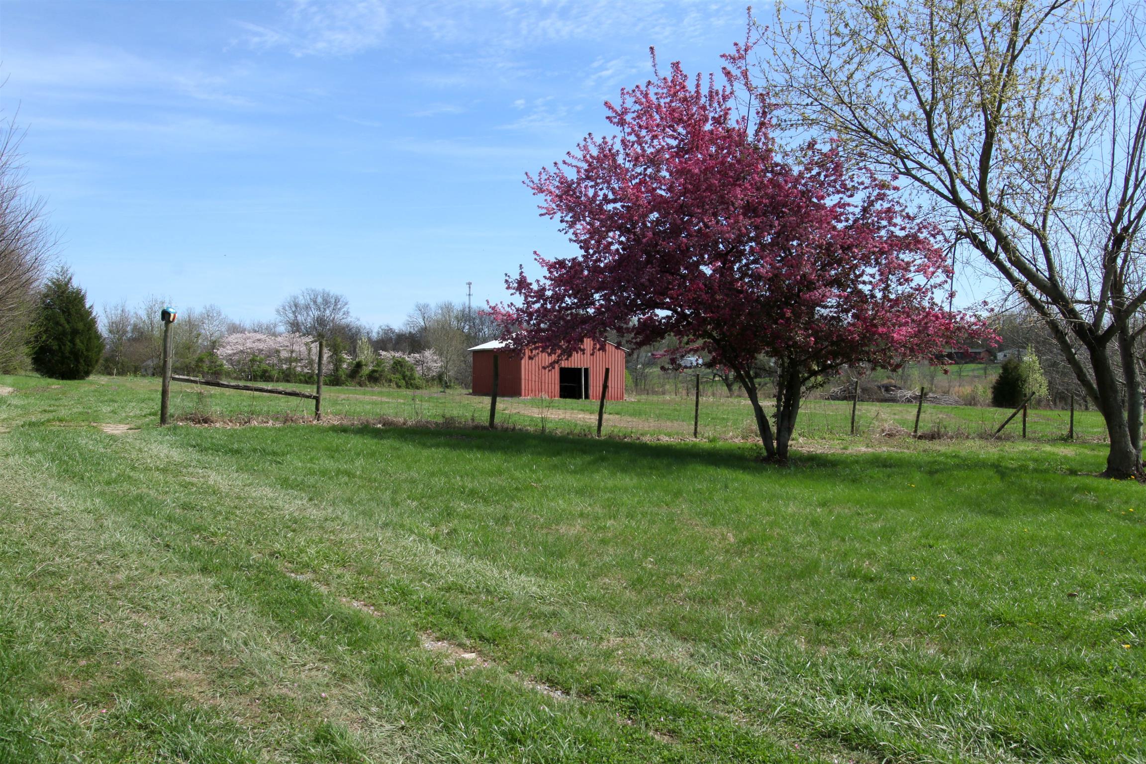 4431 Highway 431 Springfield, TN 37172 - Photo 4 of 11 Gallery Image 4