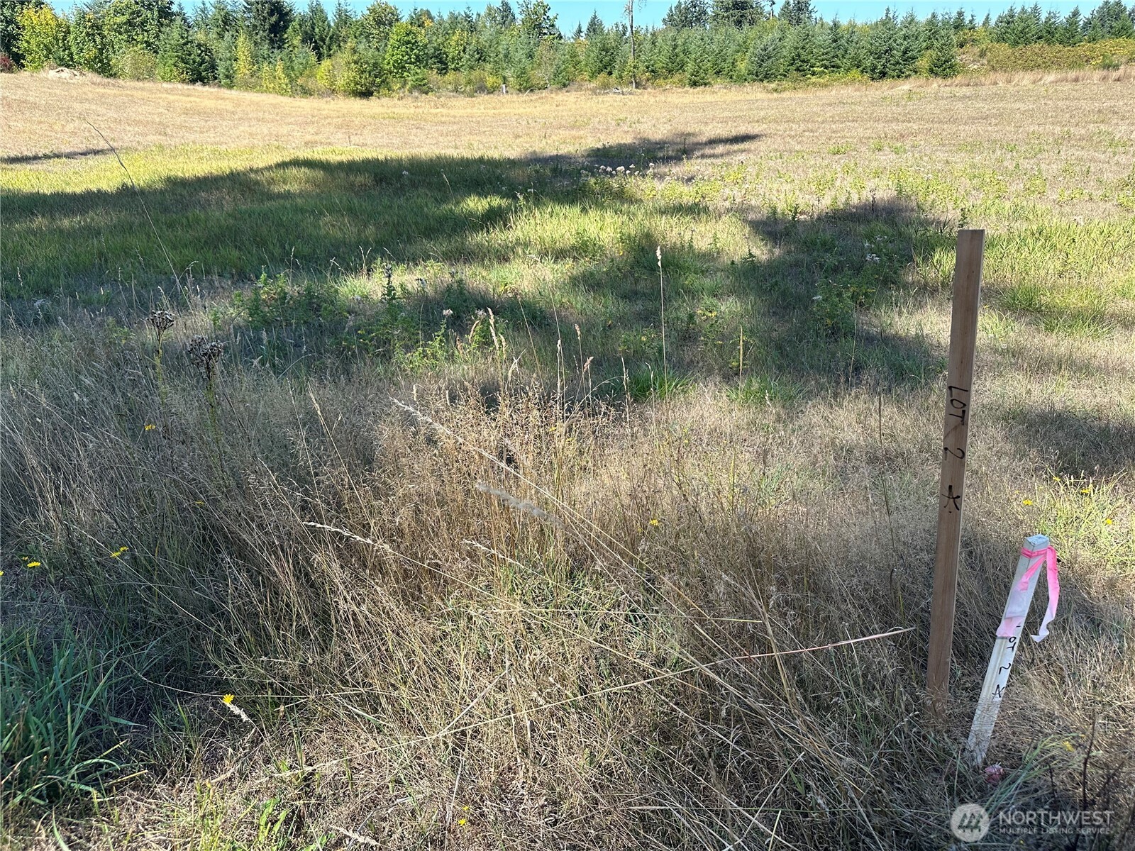 14109 Solberg Road Southeast Yelm, WA 98597 - Photo 8 of 19 Gallery Image 8