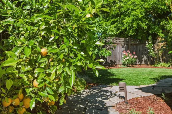 $1,550,000 | 6235 Tillamook Drive, San Jose, CA 95123