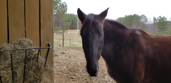 $620,000 | 1085 Thunder Ridge Drive, South Pittsburg, TN 37380