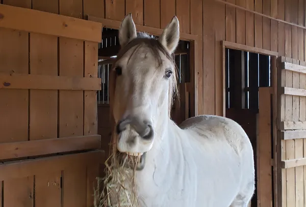 $620,000 | 1085 Thunder Ridge Drive, South Pittsburg, TN 37380