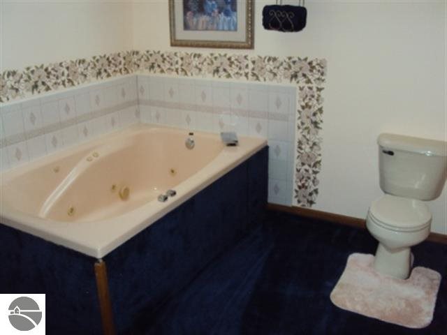 4364 North State Road Alma, MI 48801 - Photo 24 of 45 1747429-23.JPG
